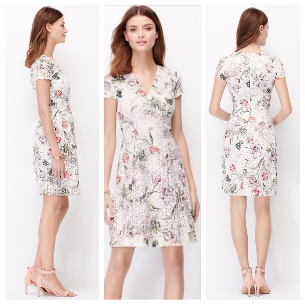 NWOT Ann Taylor Eyelet Floral Dress Fit n Flare